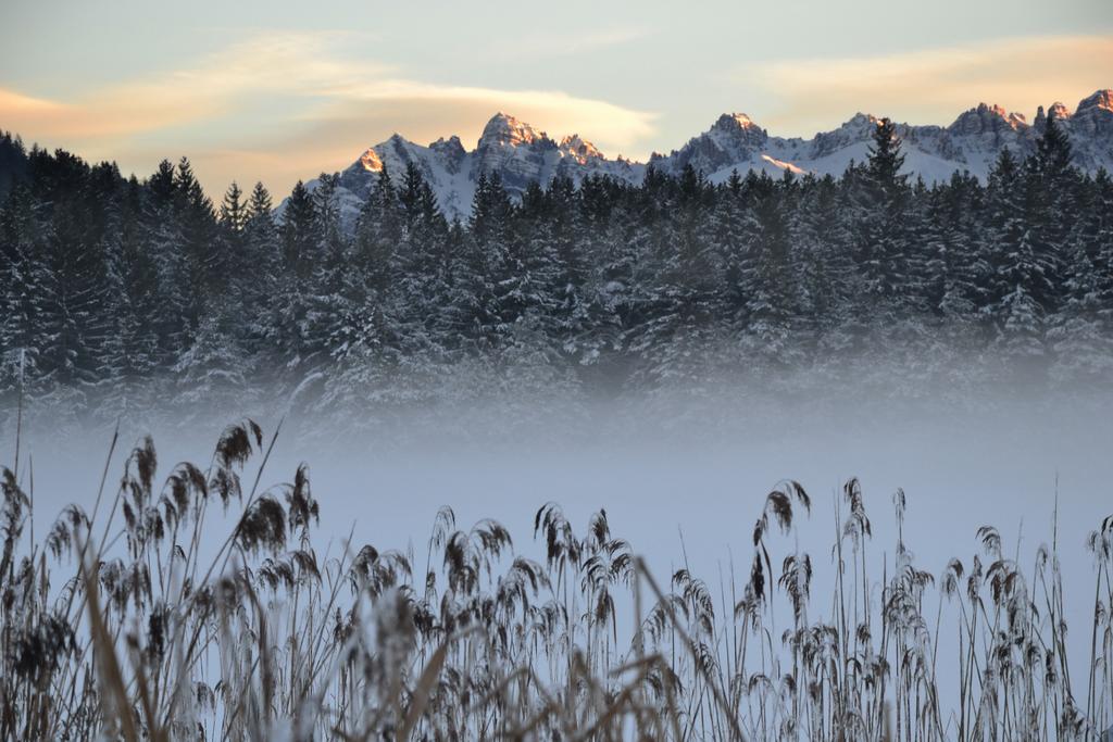 Landhaus Am Golfplatz Seefeld in Tirol Luaran gambar